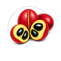 Navigation bar avatar